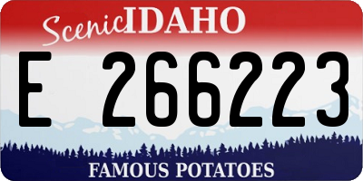 ID license plate E266223