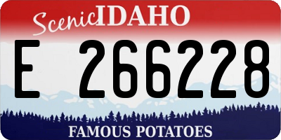 ID license plate E266228