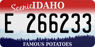ID license plate E266233