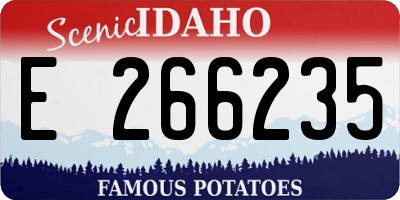 ID license plate E266235