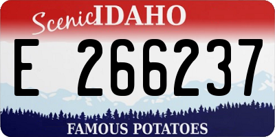 ID license plate E266237