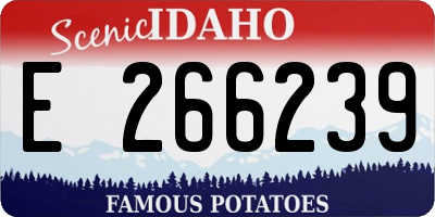ID license plate E266239