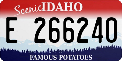 ID license plate E266240