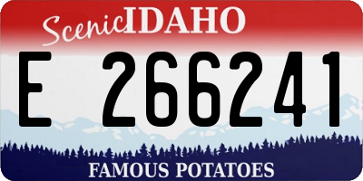 ID license plate E266241