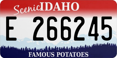 ID license plate E266245