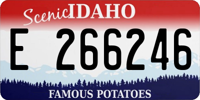 ID license plate E266246