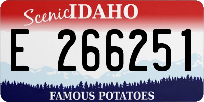 ID license plate E266251