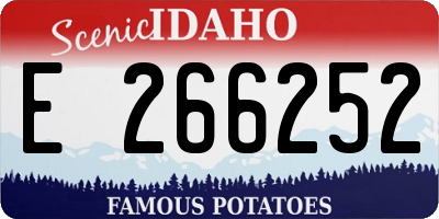 ID license plate E266252