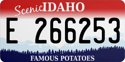 ID license plate E266253
