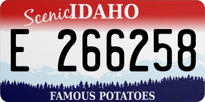 ID license plate E266258