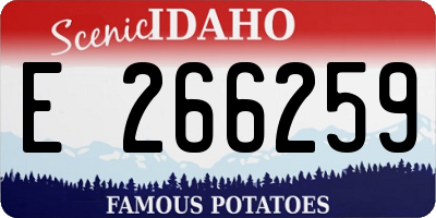 ID license plate E266259