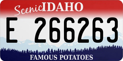 ID license plate E266263