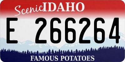ID license plate E266264