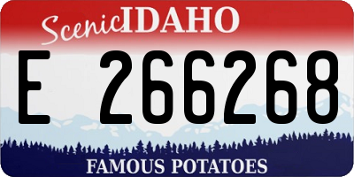 ID license plate E266268
