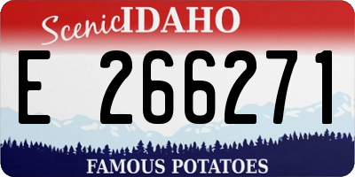 ID license plate E266271