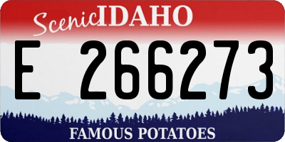 ID license plate E266273