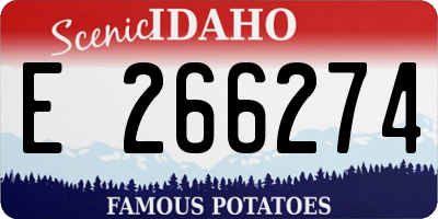 ID license plate E266274