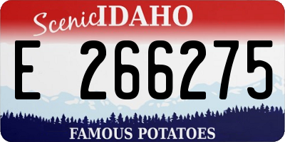 ID license plate E266275