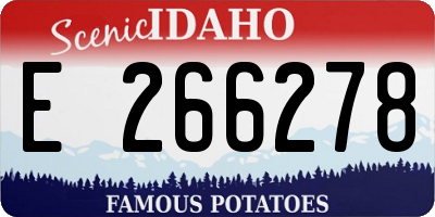 ID license plate E266278