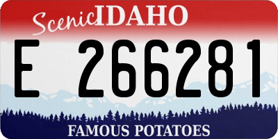 ID license plate E266281