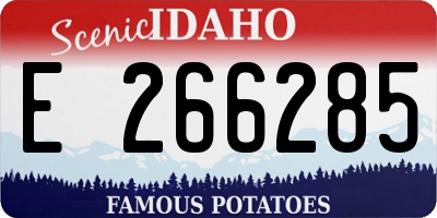 ID license plate E266285