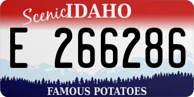 ID license plate E266286