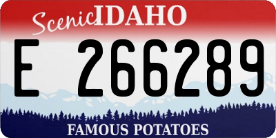 ID license plate E266289