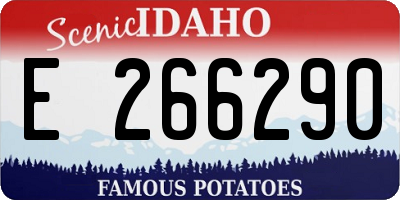 ID license plate E266290