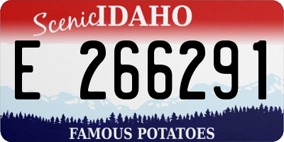 ID license plate E266291