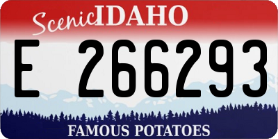 ID license plate E266293