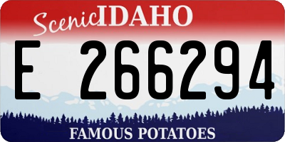 ID license plate E266294