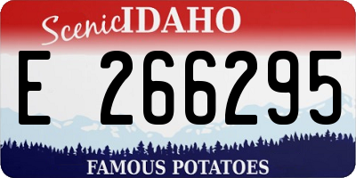 ID license plate E266295