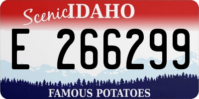 ID license plate E266299