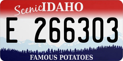 ID license plate E266303