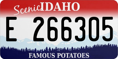 ID license plate E266305