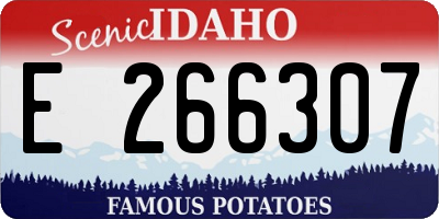 ID license plate E266307
