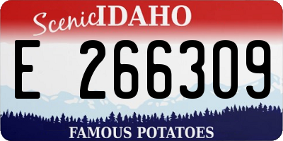 ID license plate E266309