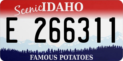 ID license plate E266311