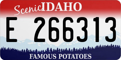 ID license plate E266313