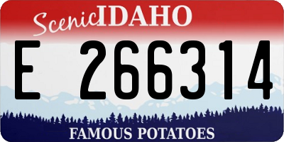ID license plate E266314
