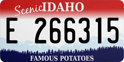 ID license plate E266315