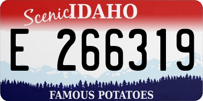 ID license plate E266319