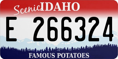 ID license plate E266324