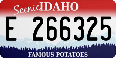 ID license plate E266325