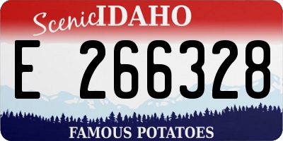 ID license plate E266328