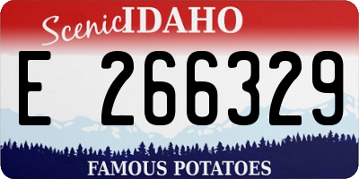 ID license plate E266329