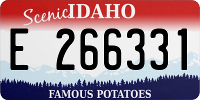 ID license plate E266331