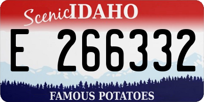 ID license plate E266332
