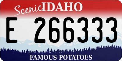 ID license plate E266333