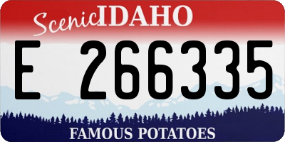 ID license plate E266335